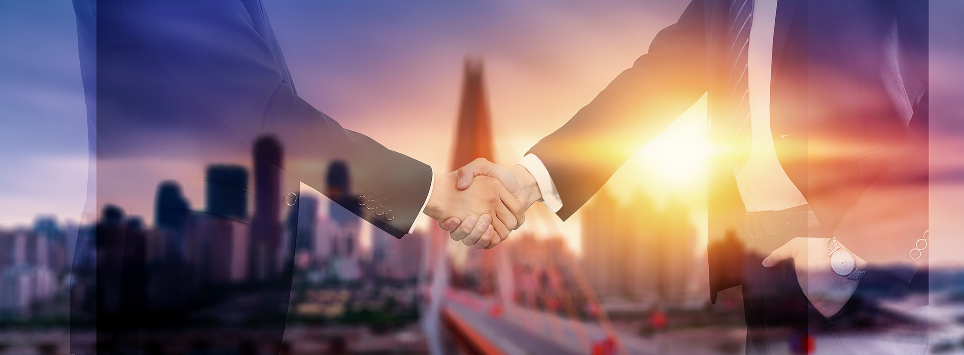 2025年新澳门原料网