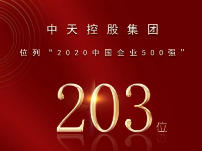 中天控股集团列2020中国企业500强第203位！